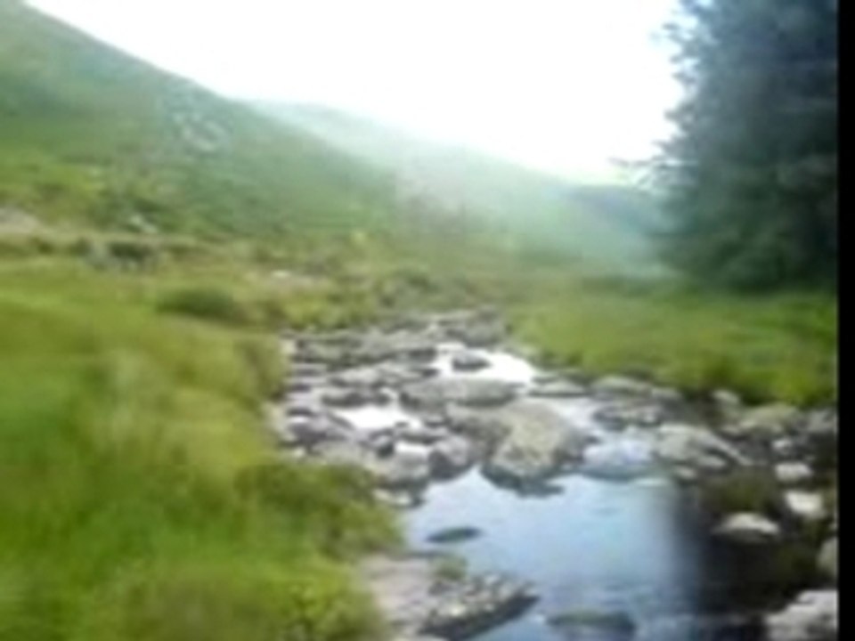 Irish blair witch