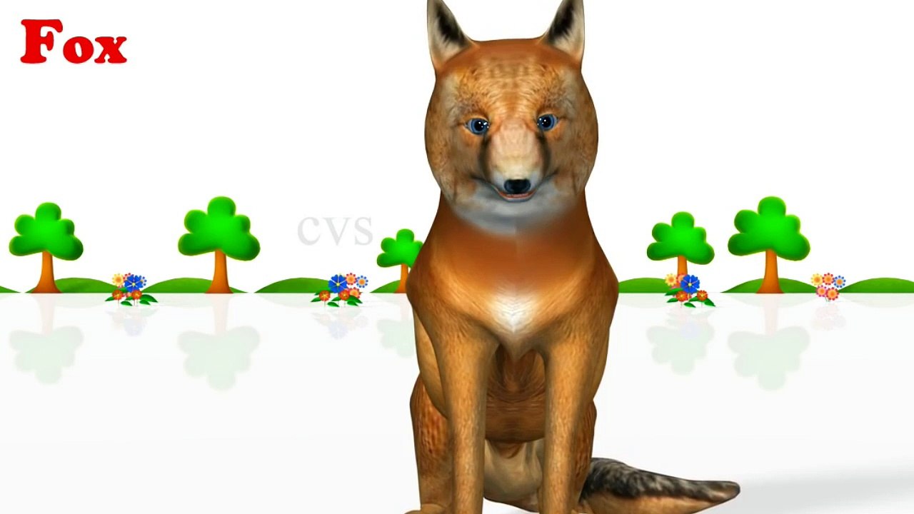 Learn Animals Name Song - 3D Animation Learning Animals Video for Kids