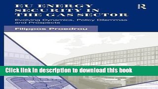 Read EU Energy Security in the Gas Sector: Evolving Dynamics, Policy Dilemmas and Prospects  Ebook