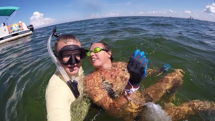 Scalloping on the Homosassa