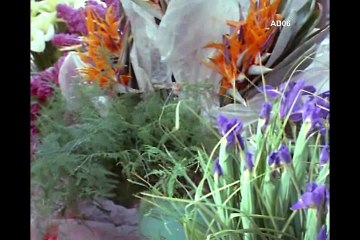 Les lieux emblématiques à Nice