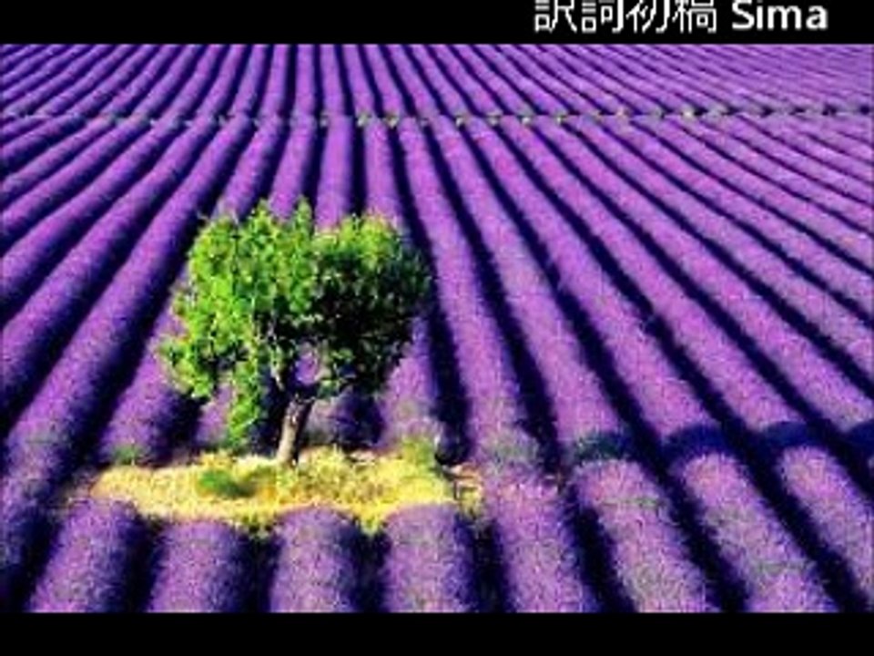 トワ Toi (アラン・バリエール Alain Barrière) シャンソン / 訳詞初稿  Sima