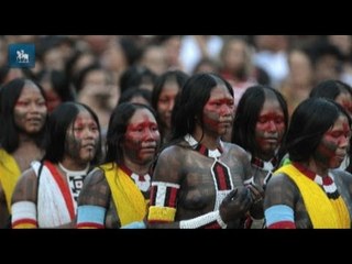 Lei de Cotas, bóson de Higgs e Rio+20 marcaram ano