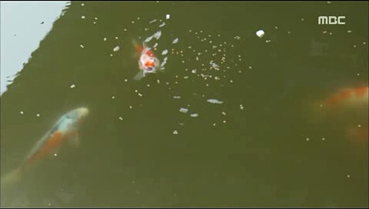 당일지급알바 교체 〈zzimＡＬＢＡ.com〉 찜알바 カ 여자알바