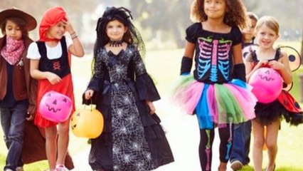 Book Video Trailer Halloween Cat by D.L. Luke