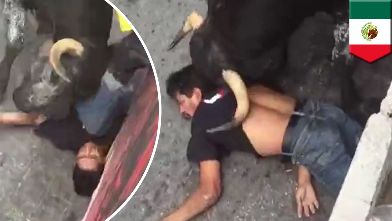 Man viciously gored by bull during running of the bulls in Tlaxcala, Mexico - TomoNews