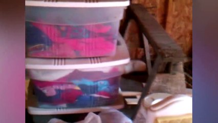 7 Curious Cat Shenanigans