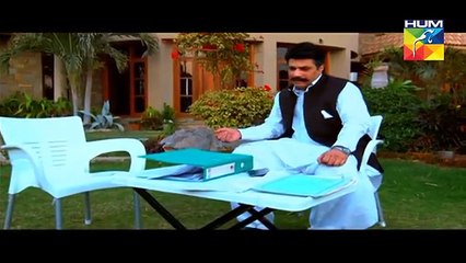 Zara Yaad Kar Episode 24 in HD on Hum Tv in High Quality 23rd August 2016