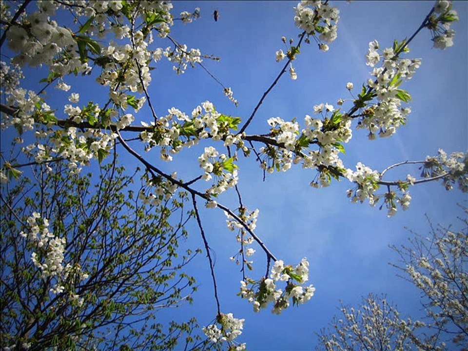 Mahler: "Adagietto"  5. Symphonie, 4. Satz (Piano solo)