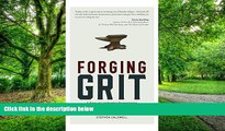Big Deals  Forging Grit: A Story of Leadership Perseverance  Free Full Read Best Seller