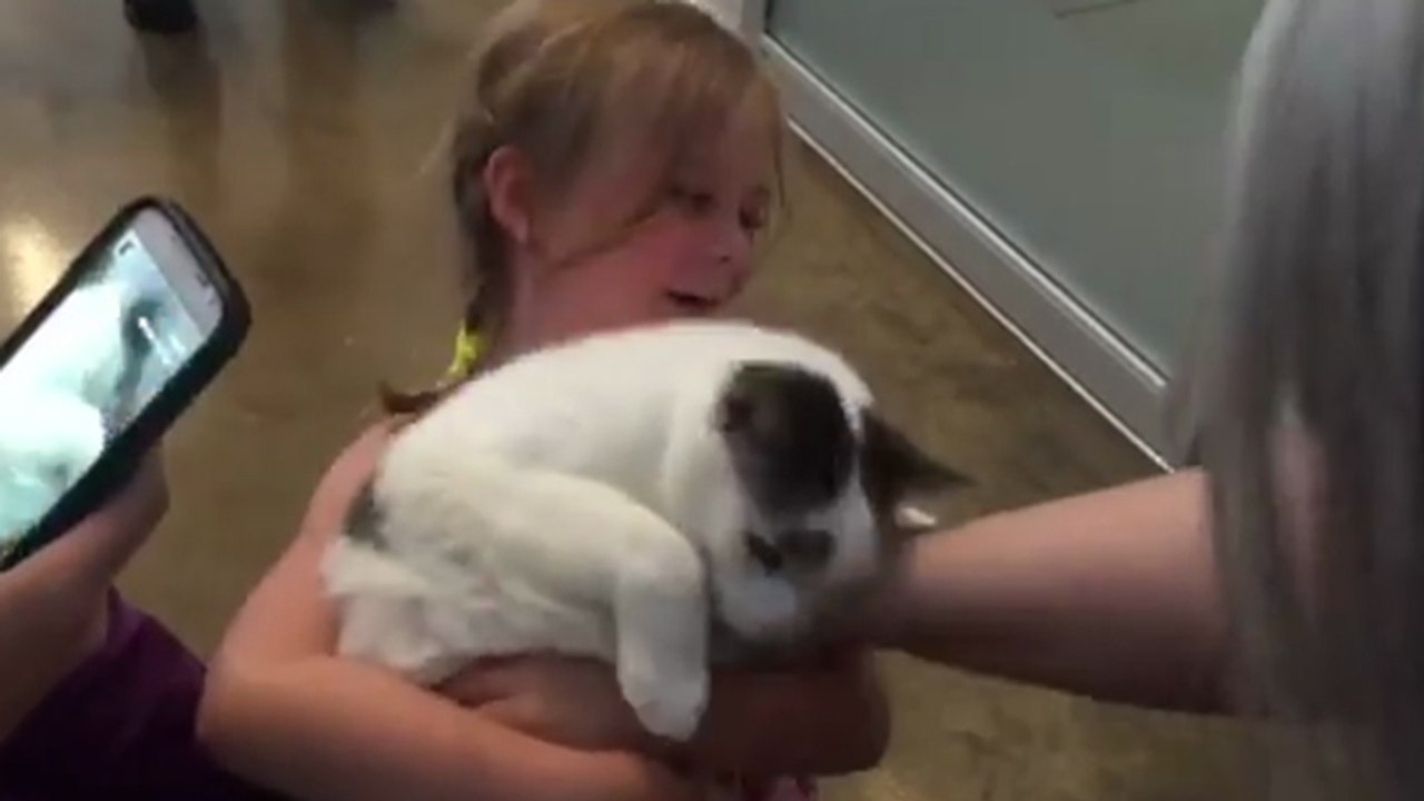 Les retrouvailles d'une petite fille et son chat