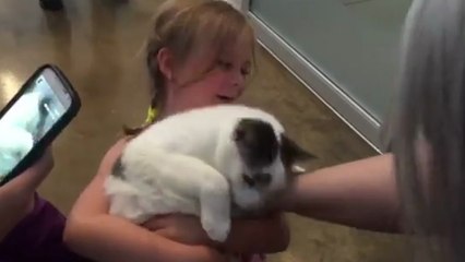 Les retrouvailles d'une petite fille et son chat