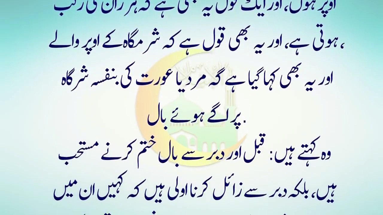 14116931_526541557549938_560438901_n