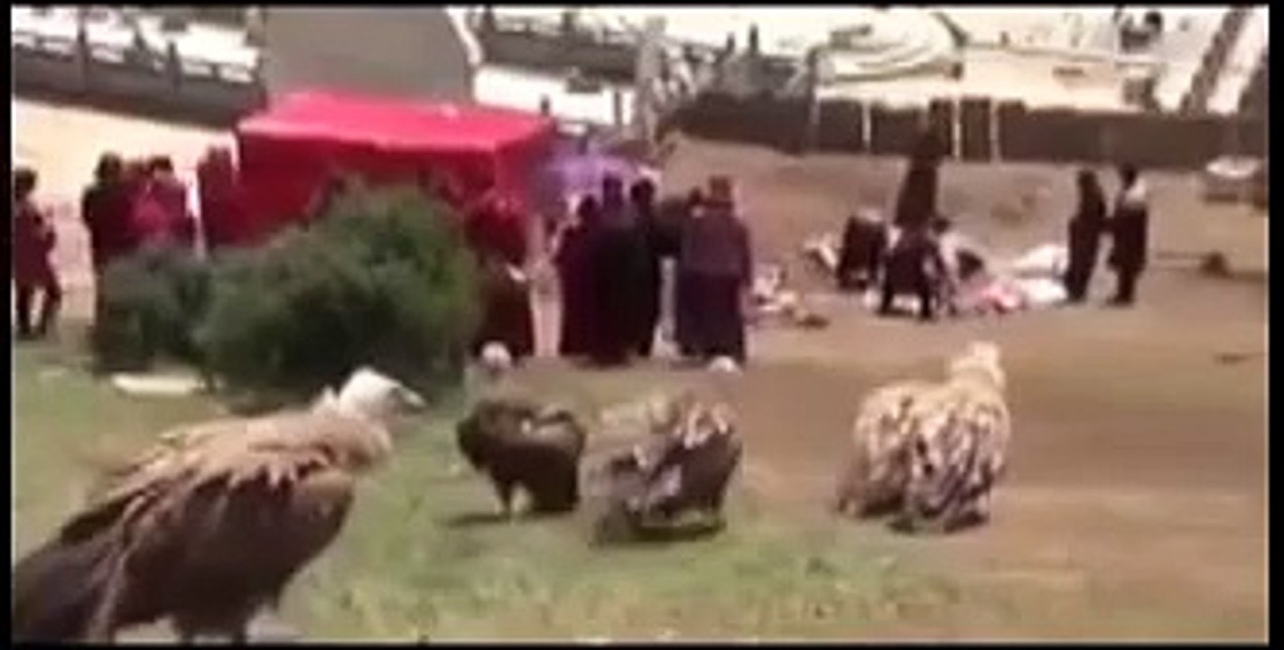 Tradisi di Tibet || Ritual Mayat dicincang Untuk dijadikan Makanan Burung Nazar (Pemakan Bangkai)