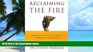 Big Deals  Reclaiming the Fire: How Successful People Overcome Burnout  Free Full Read Best Seller