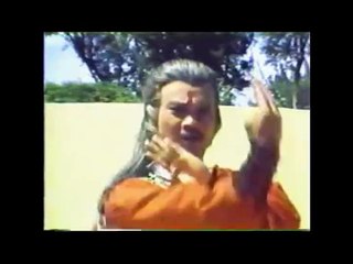 Norman Chu Siu-Keung - Dragon Swordsman