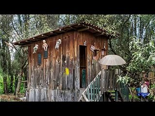 Creepiest Haunted Island of Dolls (in urdu)very strange bizarre and shocking for