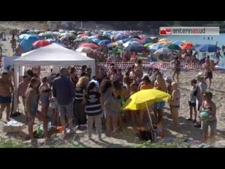 TGSRVago23 torre guaceto liberata tartaruga