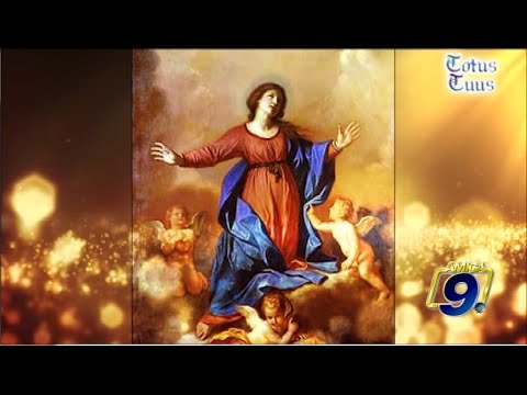 Totus Tuus | Assunzione della Beata Vergine Maria