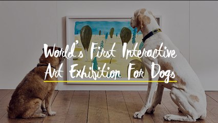 World’s First Interactive Art Exhibition for Dogs