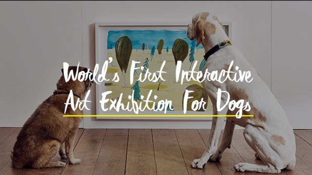 World’s First Interactive Art Exhibition for Dogs