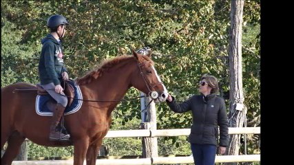 Bienvenue au Poney Club du Château Perron