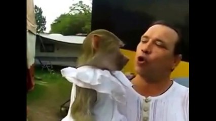 Extreme Animals Making Hilarious Funny Noises !