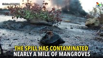 Oil Spill Devastates Central American Coast