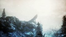 Dark Souls III – Ashes of Ariandel : Annonce du premier DLC