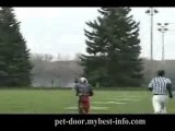 Football Coach Pulls Off the Best Trick Play Ever