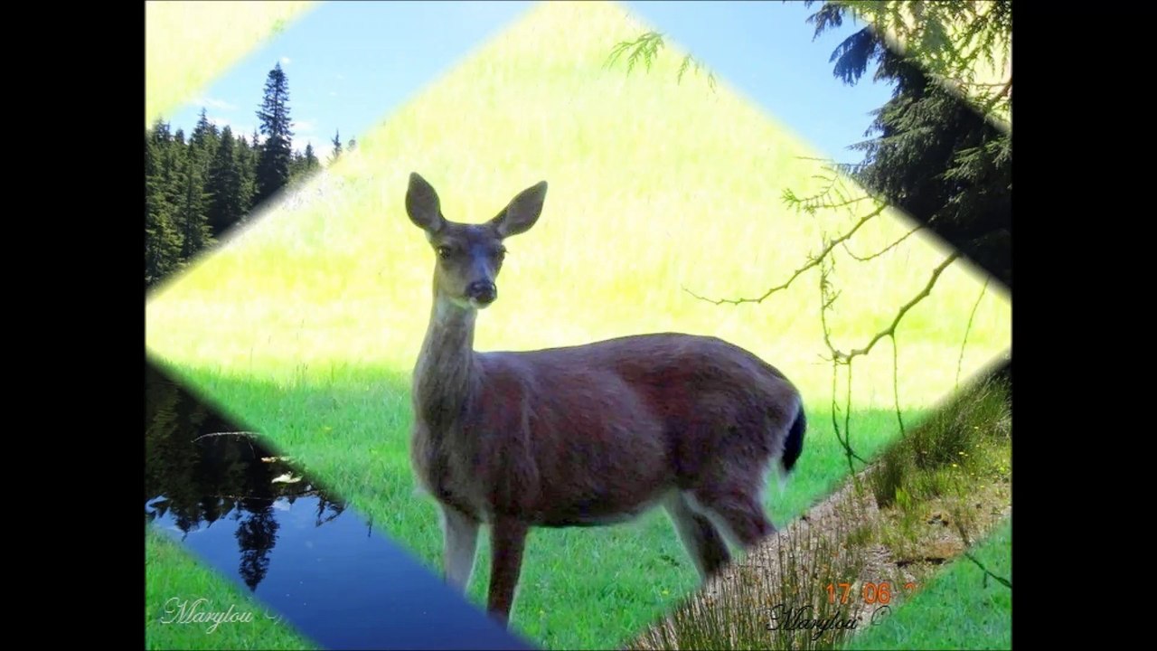 Big Lake BC
