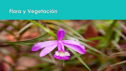 Documental de la Gran Sabana