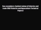 [PDF] Sea cucumbers: A global review of fisheries and trade (FAO Fisheries and Aquaculture