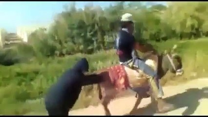 0014 Koptum Gülmekten