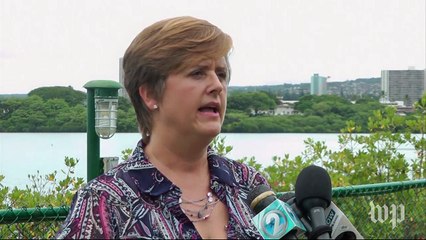 Want to swim with dolphins? It may not happen in Hawaii.