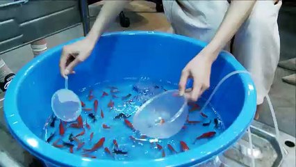 160824 AKB48のオールナイトニッポン - SHOWROOM part 2/2