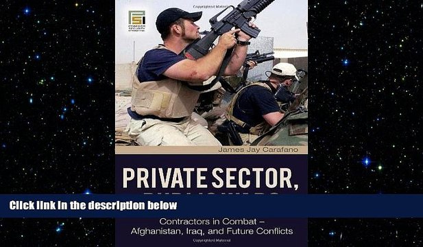 FREE PDF Private Sector, Public Wars: Contractors in Combat - Afghanistan, Iraq, and Future