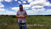 Grass Finishing - How we Finish Beef