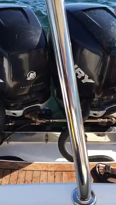 Orcas hunting! seal jumps in the boat