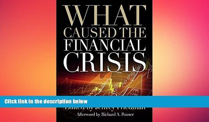 READ book  What Caused the Financial Crisis  FREE BOOOK ONLINE
