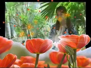 Tựa Cánh Bèo Trôi