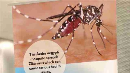 Aparece un caso de zika aparentemente autóctono en la costa este de Florida