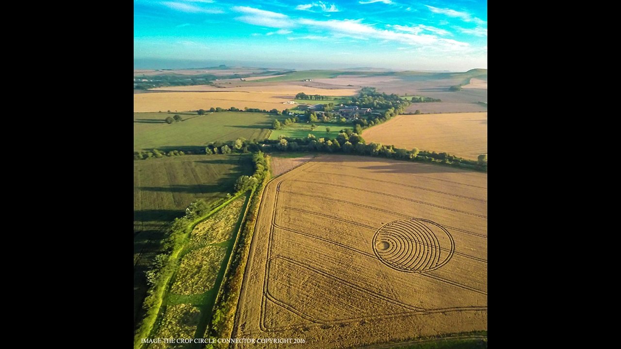 CROP CIRCLE in Woodway Bridge, nr All Cannings, Wiltshire, UK - August 24, 2016.