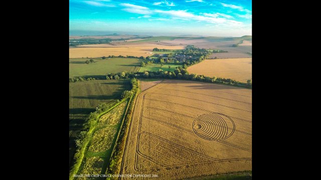 CROP CIRCLE in Woodway Bridge, nr All Cannings, Wiltshire, UK - August 24, 2016.