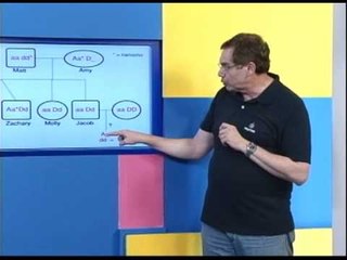 Superaulas Fuvest e Unicamp 2012 - 20.11 - Física, Biologia e Inglês
