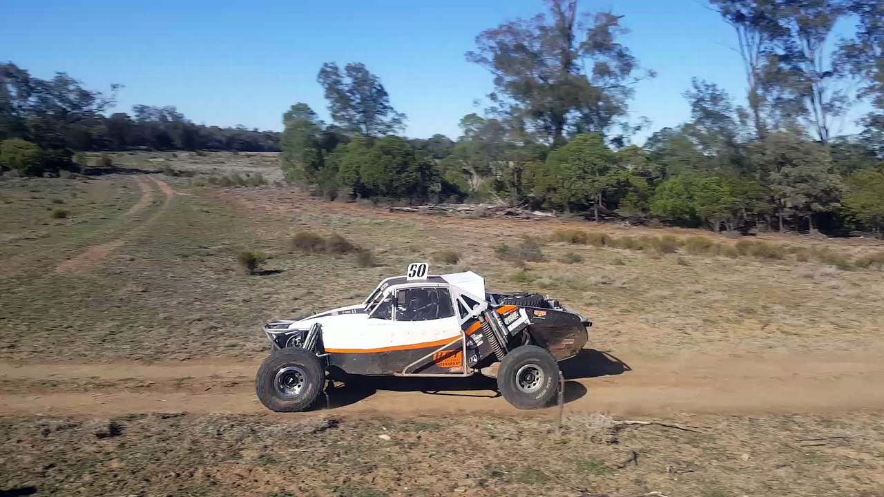 Racing Roadkill