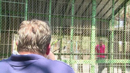 Les derniers animaux survivants du zoo de Gaza sont évacués