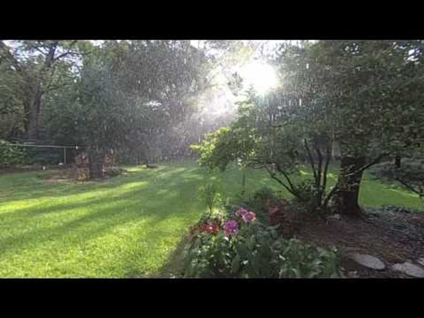 Beautiful Slow Motion Video Shows Rain Falling in Garden