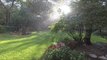 Beautiful Slow Motion Video Shows Rain Falling in Garden