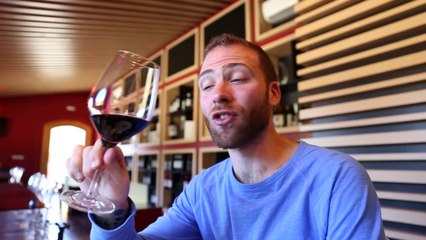 Masia Serra Winery in Costa Brava, Spain